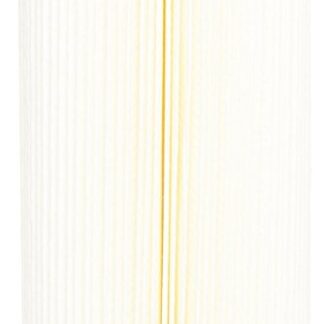 Pentek ECP5-20 Pleated Cellulose Polyester Cartridge